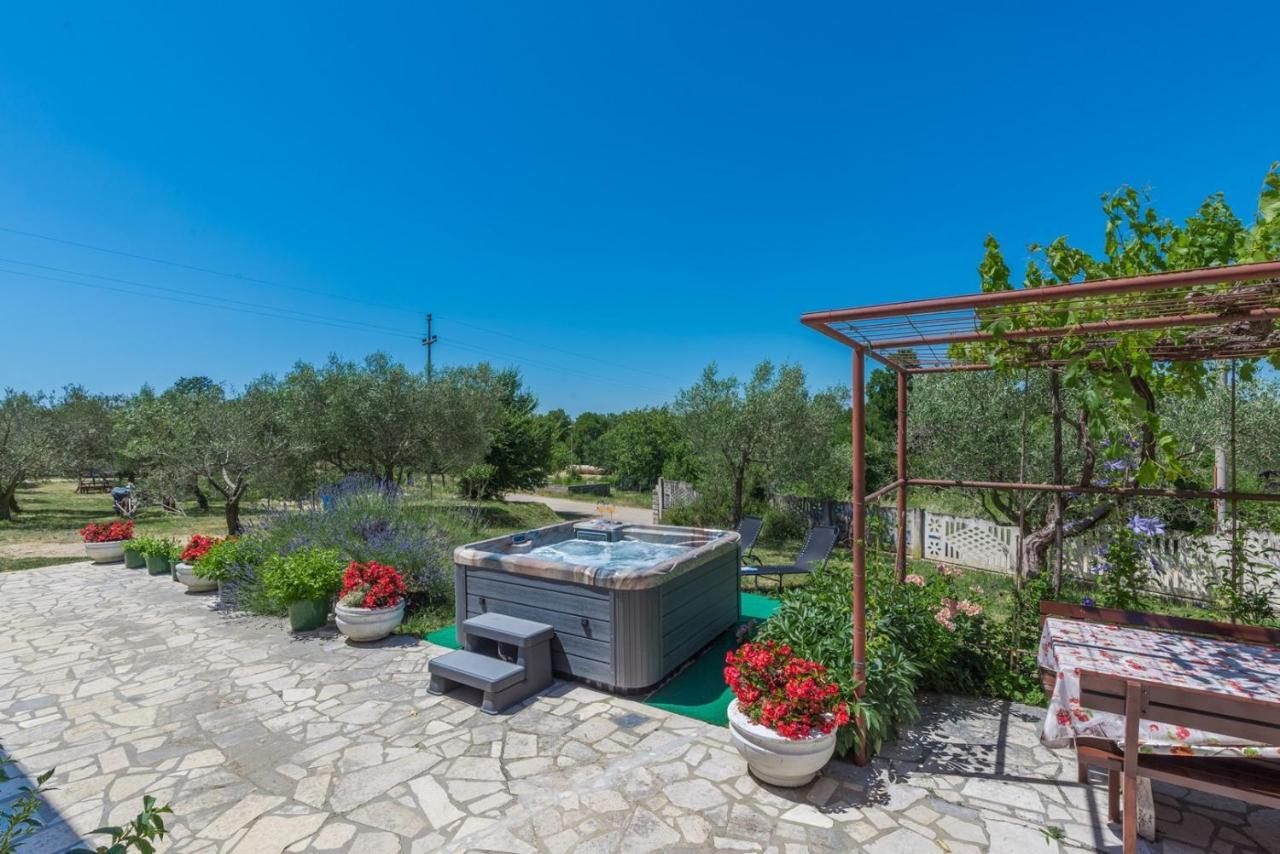 Ferienhaus Zora With Whirlpool Sveti Lovreč Pazenatički المظهر الخارجي الصورة